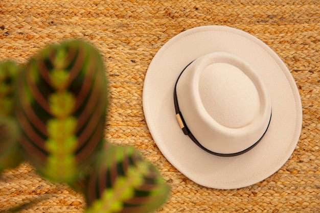 Vista del elegante sombrero fedora