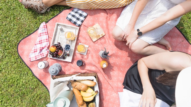 Vista elevada de amigas sentadas con comida en manta de picnic