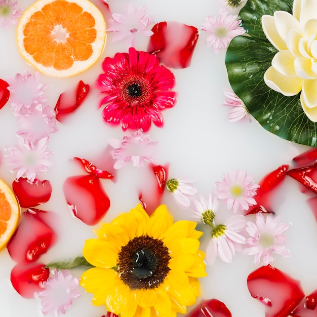 Vista elevada de la bañera de hidromasaje con leche decorada con pomelo y flores