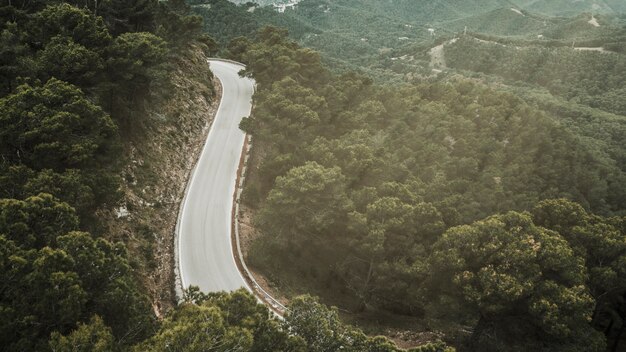 Vista elevada de la carretera y el bosque durante el día soleado