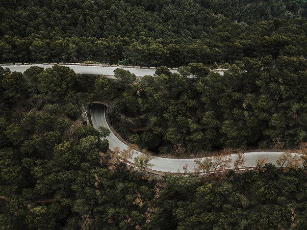 Vista elevada de la carretera en el paisaje forestal