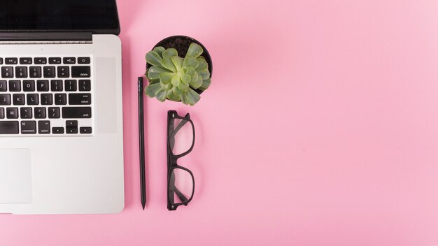 Vista elevada de la computadora portátil; gafas; lápiz y planta en maceta en superficie rosa