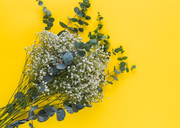 Una vista elevada de las flores del aliento del bebé con hojas verdes sobre fondo amarillo