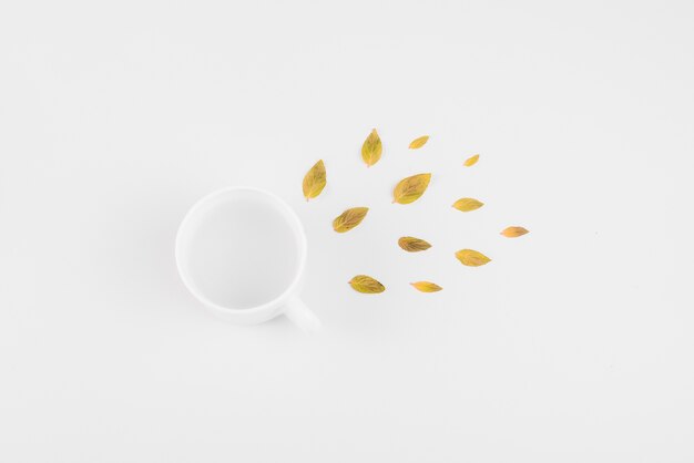 Vista elevada de hojas y taza de té en superficie blanca