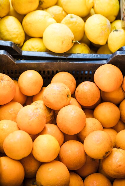 Vista elevada de jugosas frutas de limón y kumquats en el mercado