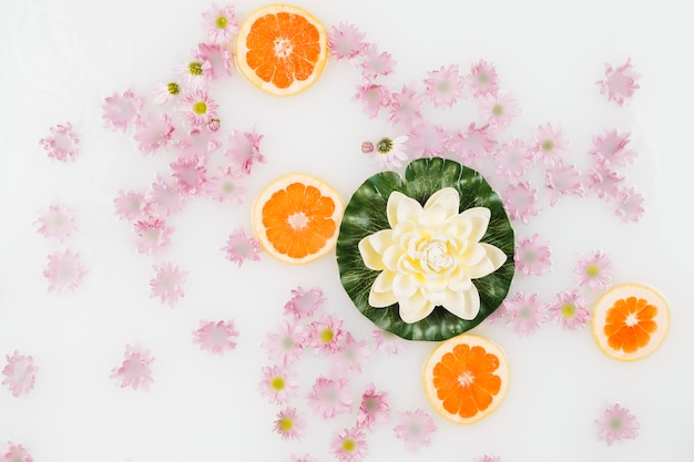 Vista elevada de la leche de baño decorada con rodajas de pomelo, loto y flores de color rosa