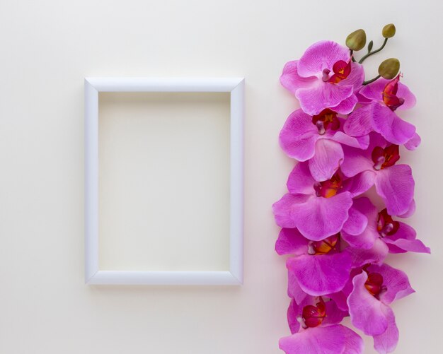 Vista elevada del marco de fotos en blanco con flores de orquídeas rosadas sobre fondo blanco