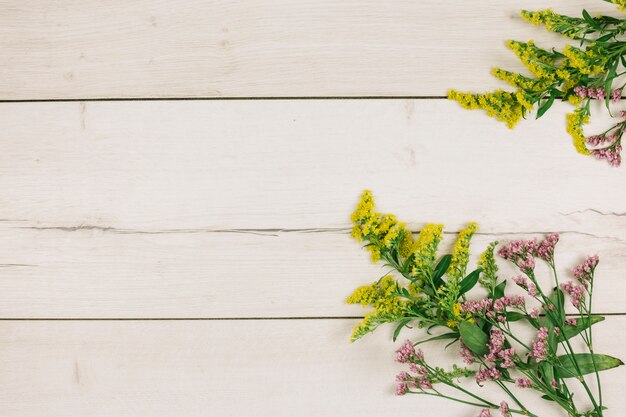 Una vista elevada de las varas de oro amarillas o flores de solidago gigantea y limonium sobre fondo de madera