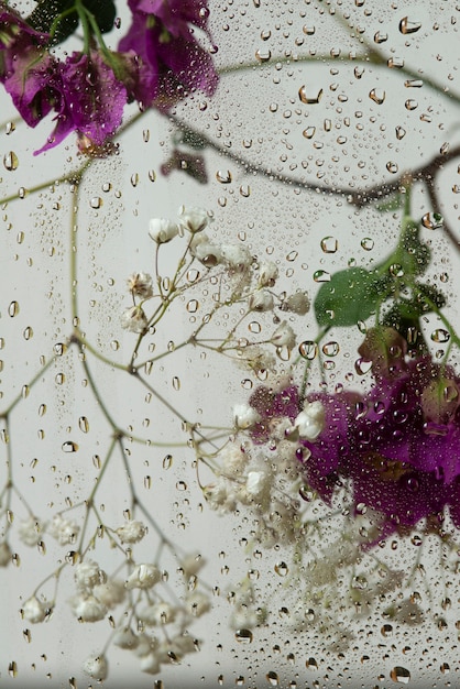 Foto gratuita vista de flores detrás de un vidrio con gotas de agua