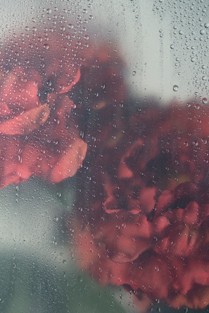 Vista de flores detrás de un vidrio transparente con gotas de agua