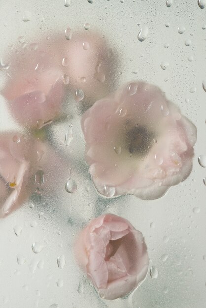 Vista de flores a través de vidrio condensado con gotas de agua.