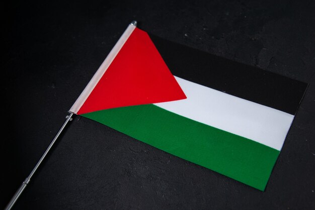 Vista frontal de la bandera de Palestina en el negro