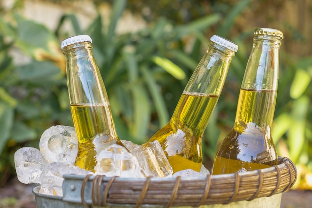 Vista frontal de botellas de bebidas en cubitos de hielo