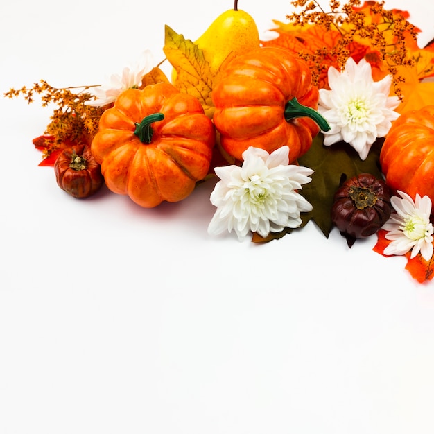 Vista frontal de calabazas con flores