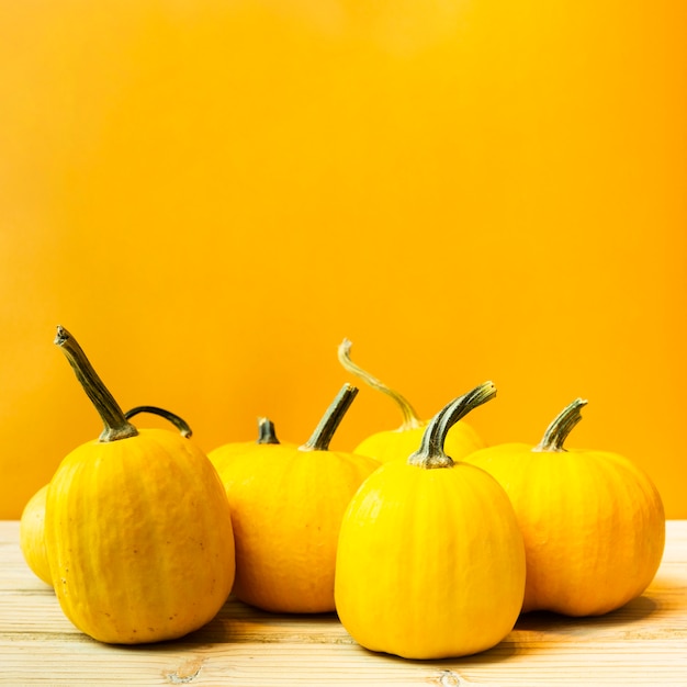 Vista frontal de calabazas con fondo amarillo