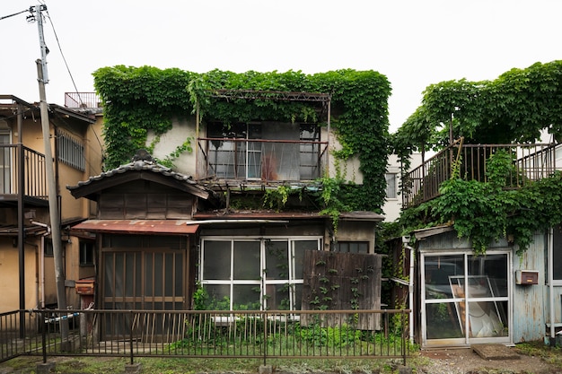 Vista frontal casa abandonada con plantas.