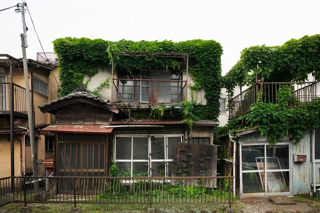 Vista frontal casa abandonada con plantas.