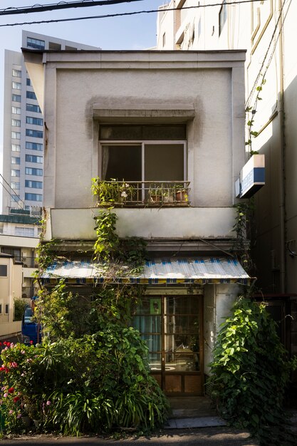 Vista frontal casa abandonada con plantas.