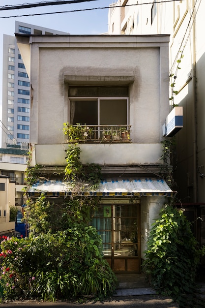 Vista frontal casa abandonada con plantas.