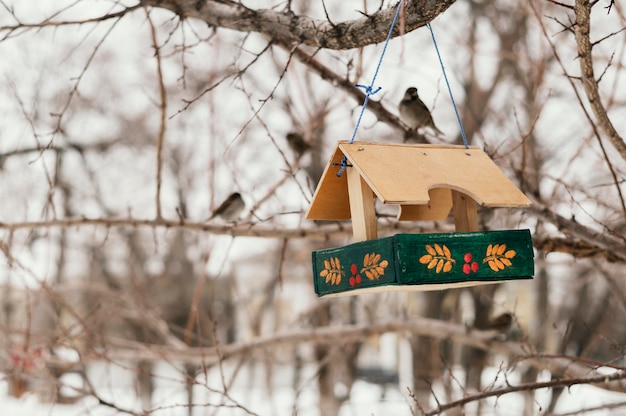 Vista frontal de la casita para aves colgando del árbol exterior en invierno