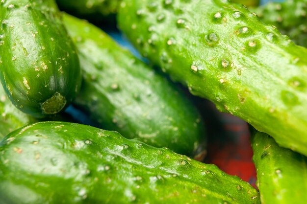 Vista frontal cercana pepinos verdes frescos sobre fondo azul comida ensalada salud comida madura dieta color