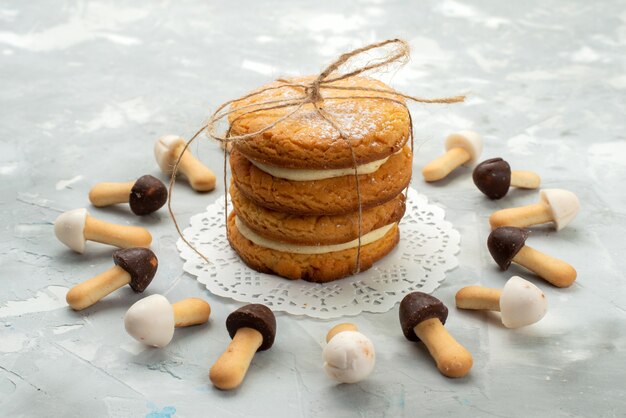 Vista frontal cercana stick cookies suaves con diferentes capas de chocolate forradas con galletas sándwich en la superficie de luz gris galleta de la galleta de la torta