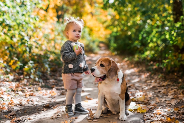 Vista frontal de una chica sosteniendo una pelota de pie cerca de un perro beagle en el bosque