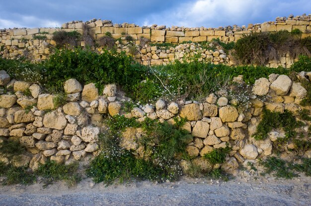 Vista frontal de un corto muro de piedra cubierto de plantas en un día soleado