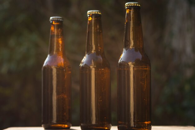 Vista frontal de diferentes tamaños de botellas de cerveza alineadas en la mesa