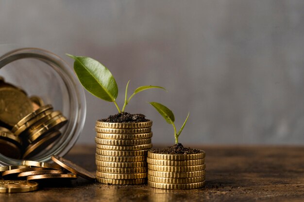 Vista frontal de dos pilas de monedas con jarra y plantas