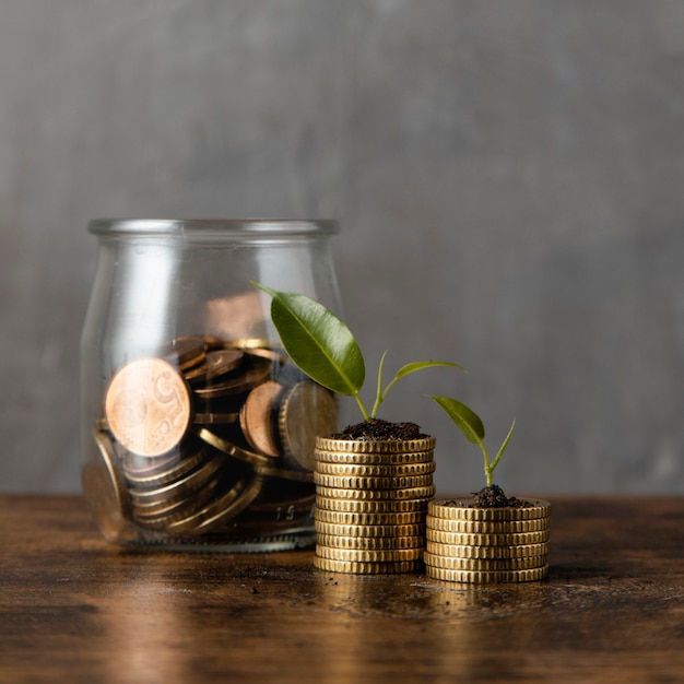 Vista frontal de dos pilas de monedas con plantas y jar