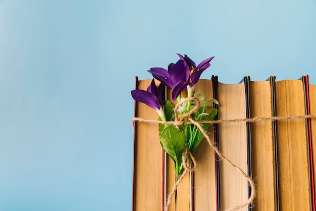 Vista frontal fila de libros con flores