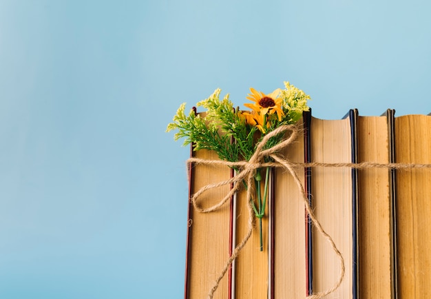 Foto gratuita vista frontal fila de libros con flores