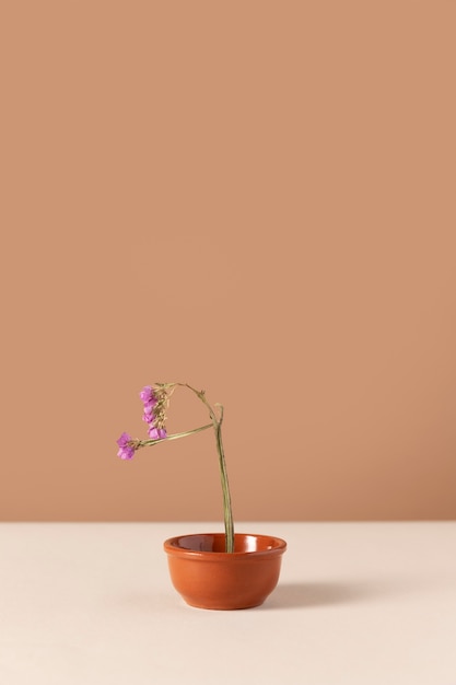 Vista frontal de la flor en una maceta con espacio de copia