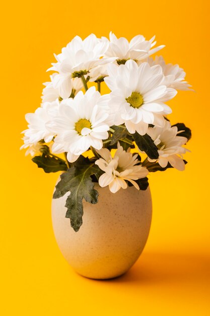 Vista frontal de flores blancas en florero