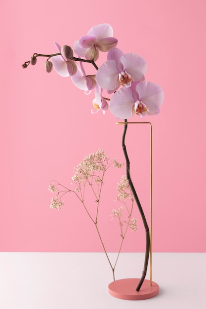 Vista frontal de flores de orquídeas en un soporte