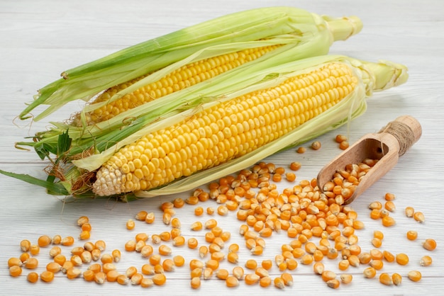 Vista frontal de granos amarillos crudos con cáscaras y semillas de maíz en blanco, comida de maíz cruda