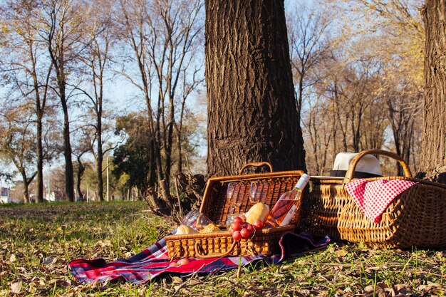 Vista frontal hermoso arreglo de picnic