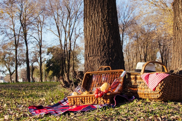 Vista frontal hermoso arreglo de picnic