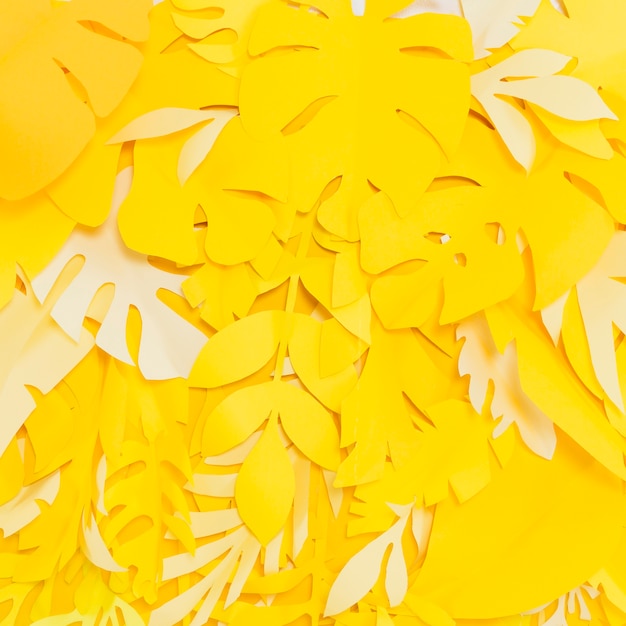 Vista frontal de hojas amarillas que inspiran alegría.