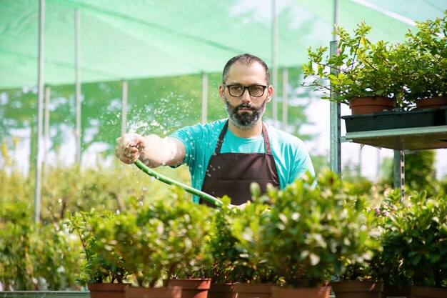 Vista frontal del hombre regando plantas en macetas con manguera. Jardinero de mediana edad concentrado en delantal y anteojos trabajando en invernadero y cultivando flores. Actividad de jardinería comercial y concepto de verano.