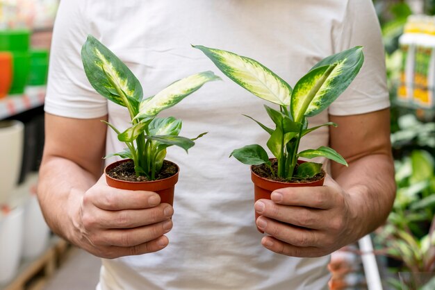 Vista frontal hombre sosteniendo pequeñas plantas