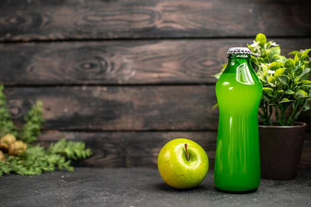 Vista frontal de limonada de manzana fresca en botella planta en maceta de manzana