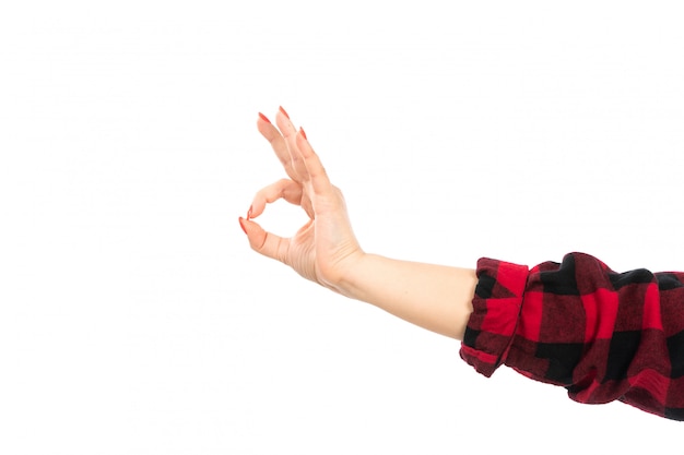 Foto gratuita una vista frontal mano femenina en camisa a cuadros negro-rojo que muestra bien signo en el blanco