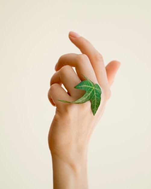 Vista frontal de la mano con hoja verde