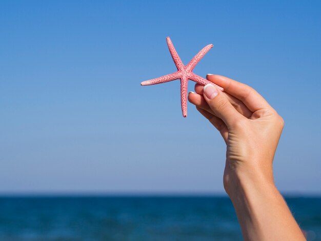 Vista frontal mano sosteniendo una estrella de mar