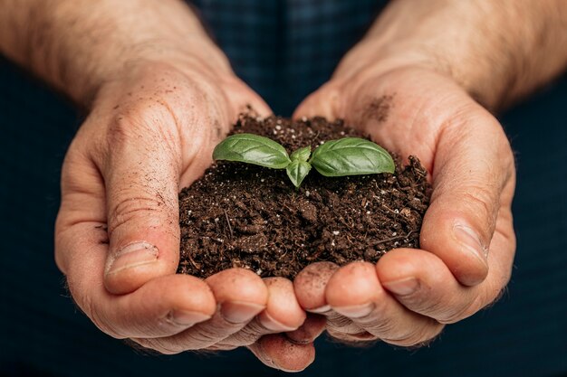 Vista frontal de manos masculinas sosteniendo el suelo y la planta en crecimiento