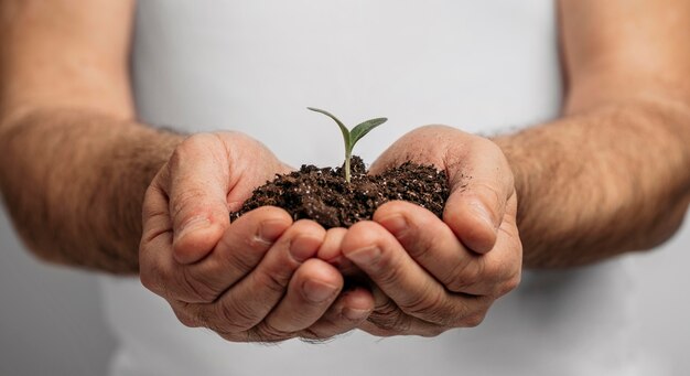 Vista frontal de manos masculinas sosteniendo el suelo y la planta