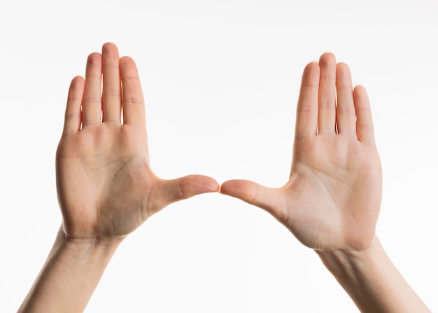 Vista frontal de manos mostrando palmas