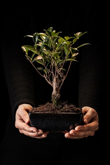 Foto gratuita vista frontal manos sosteniendo planta en maceta